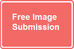 free image submission freeadmart